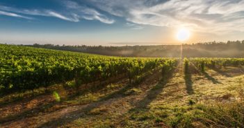 UPS begins construction on delivery center in Tuscany