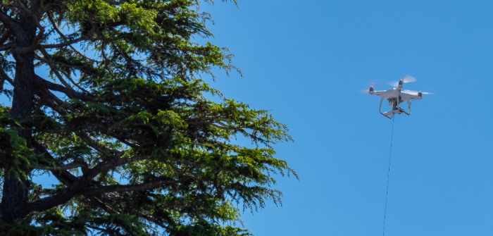 Dive Delivery begins backyard drone drop-offs