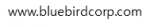 Bluebird Inc