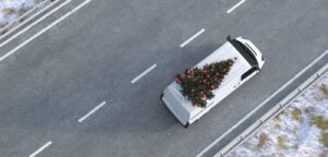 Stuart UK partners with Green Elf Trees to sustainably deliver Christmas trees