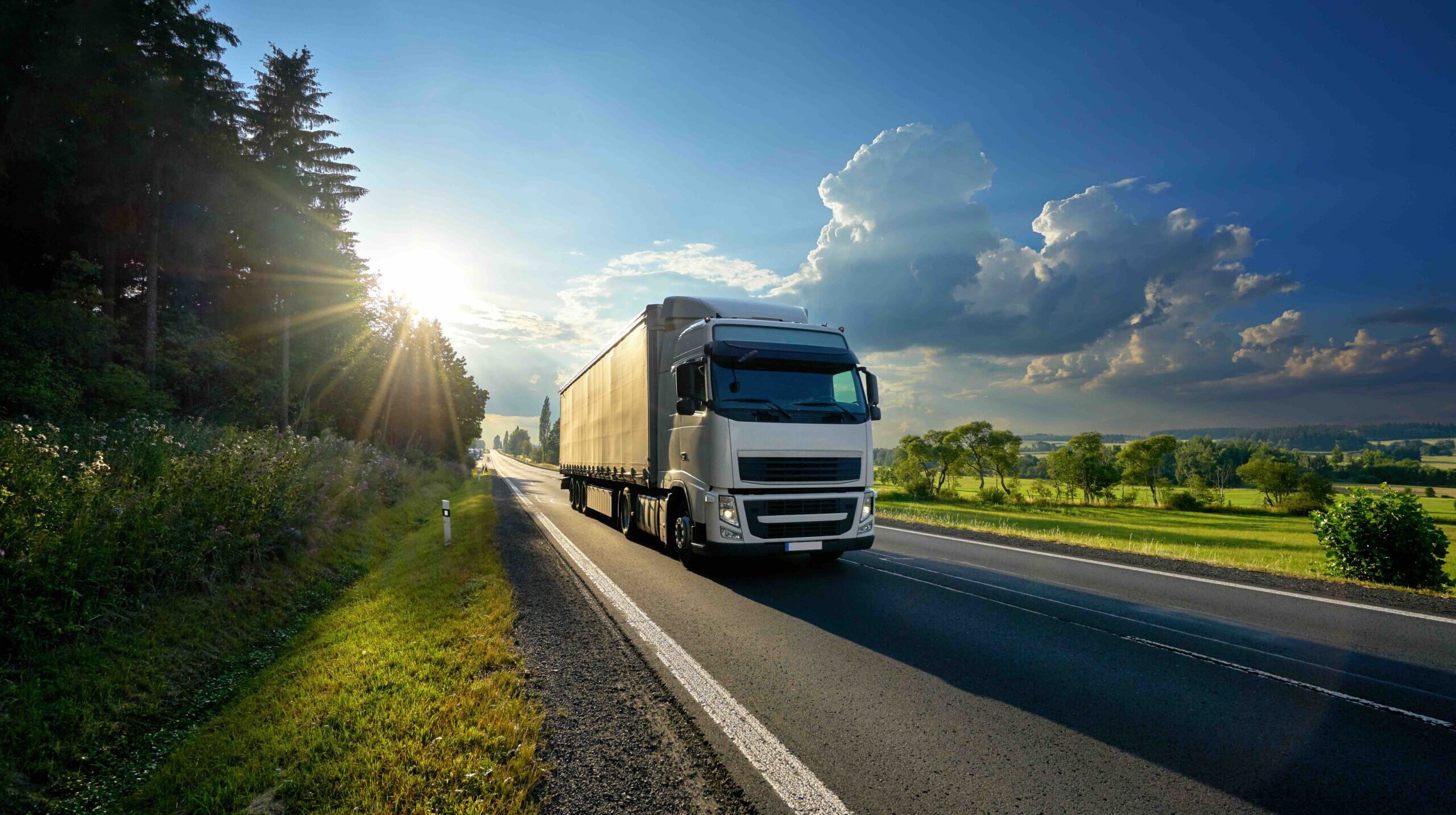 Study finds strong public support in South Korea for hydrogen fuel cell trucks despite associated costs