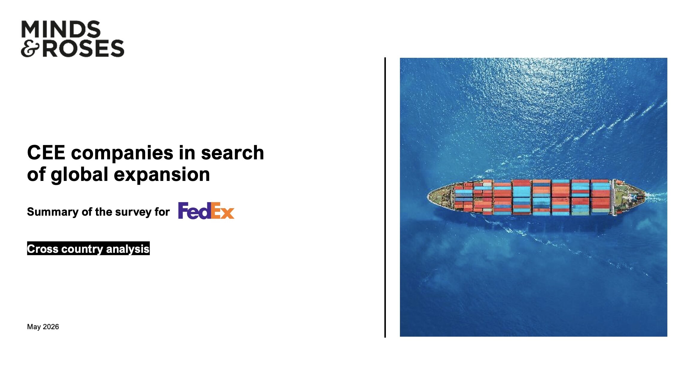 Central and Eastern European SMEs accelerate international expansion